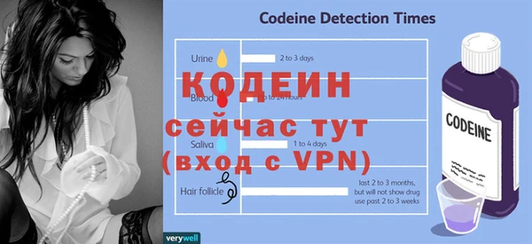 мдпв Корсаков