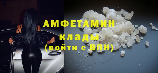 индика Нестеровская