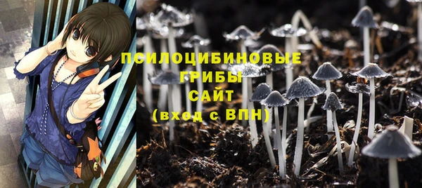 мдпв Корсаков