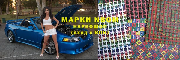 индика Нестеровская