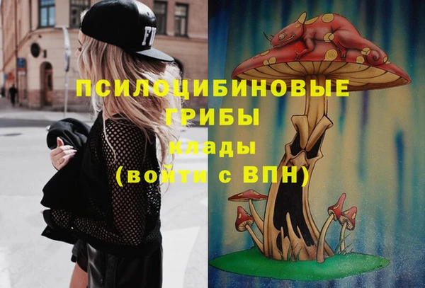 ПСИЛОЦИБИНОВЫЕ ГРИБЫ Костерёво