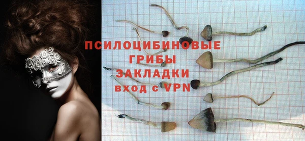 соль курить ск Коряжма