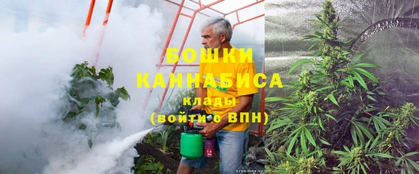 ПСИЛОЦИБИНОВЫЕ ГРИБЫ Костерёво