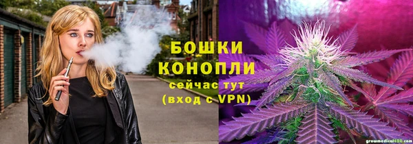 мдпв Корсаков